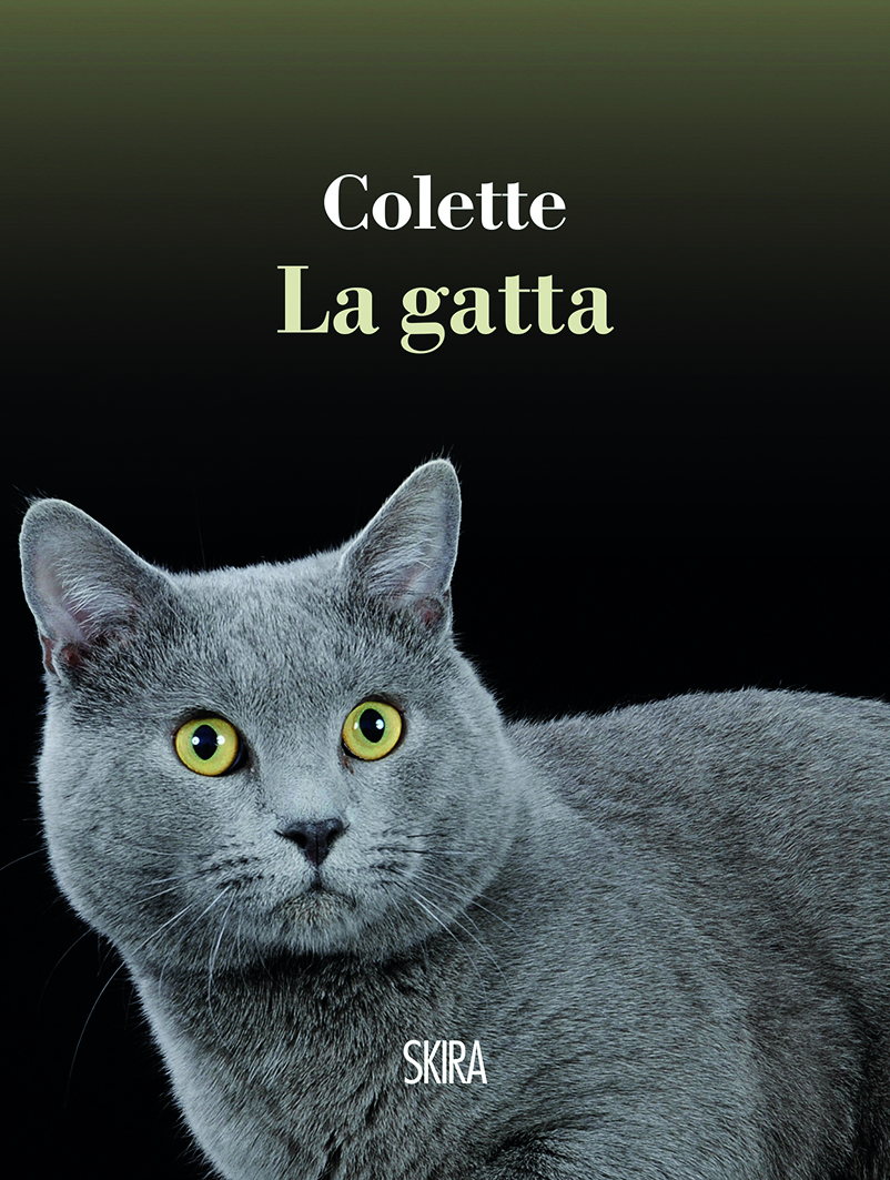 Pur deciso a sposarsi, Alain è
turbato all’idea di lasciare la casa di famiglia e, soprattutto, la gatta adorata.